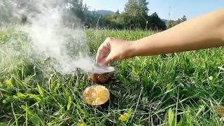 Kopál mexický zlatý (bursera bipinnata) vykuřovadlo