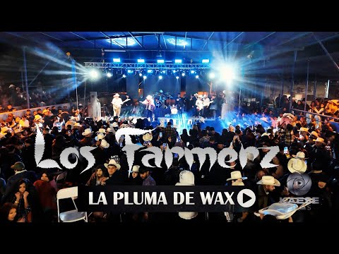 La pluma de wax ( en vivo ) - Los Farmerz