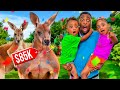 SURPRISING LONDYN MJ WITH A PET KANGAROO