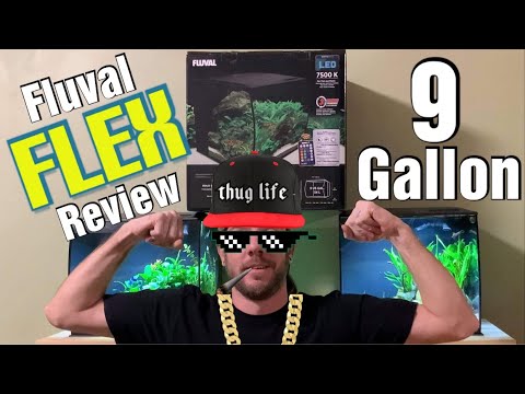 Fluval Flex Review (9 gallon)