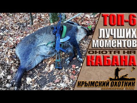 Охота на кабана. ТОП-6 ЛУЧШИХ выстрелов и моментов, а также ХУДШИЙ момент за сезон 2019-2020.
