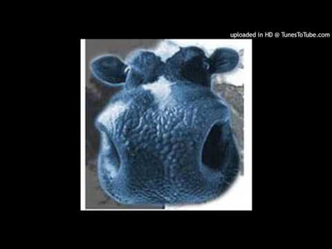 ProflowProductionz - Nemo - Det Jeres(FriskMælk)