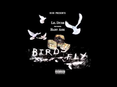 Lil Dude X Baby Ahk - Birds Fly