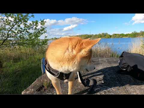 Mit Yoshi on Tour 2021