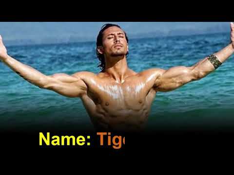 Tiger  shroff  lifestyle, cars, house, income..