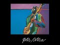 Peter Cetera Practical Man Acetate Version