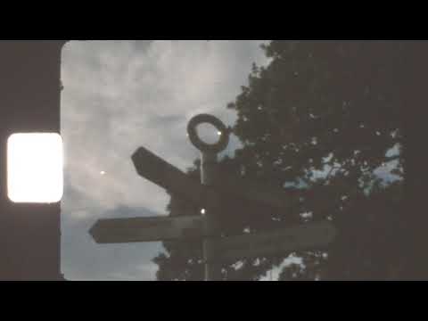 Video thumbnail for All 9 Lives - demo