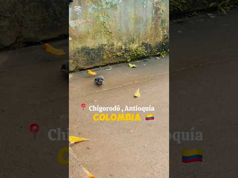 📍Chigorodó Colombia #viajes #viajesporelmundo #colombia #antioquia #viaje #viajemágico #pueblitos