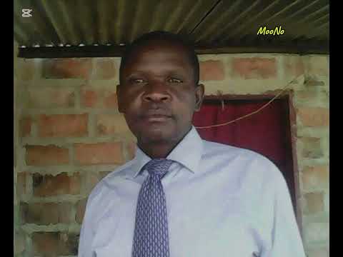 GREEN MAMBA BAND WITH A TRIBUTE TO THE LATE COLLEN MUKONKA ( founder)