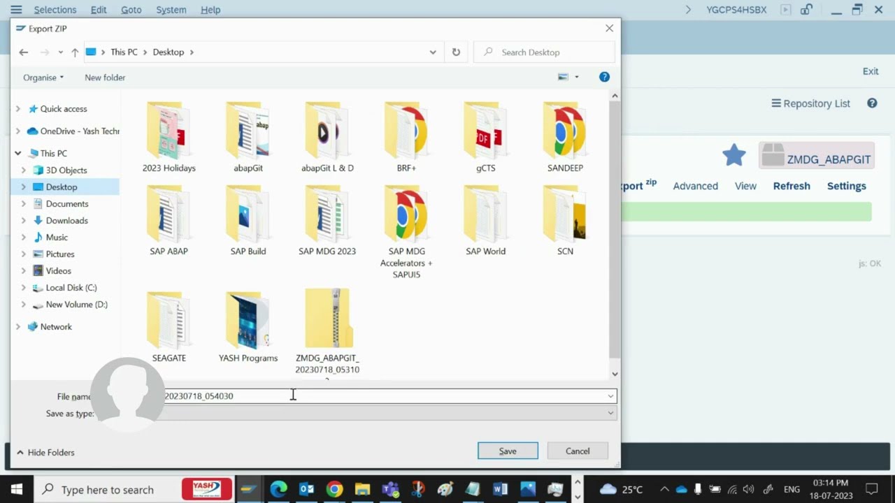 abapGit: Offline Push