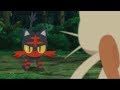 Litten Versus Meowth