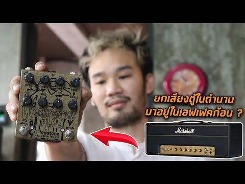 Menatone workingman's blue 8 knobs 2010-2020 - gold image 6