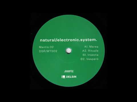Natural/Electronic.System - Insecta