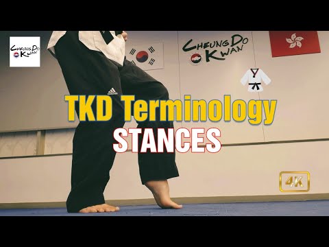 Taekwondo Stances (Terminology)