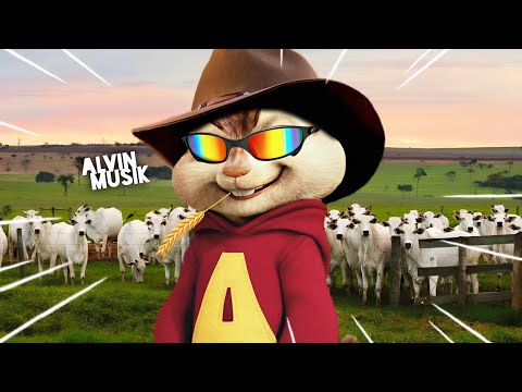 OS MENINO DA PECUÁRIA, NÃO PARA 🤠🍃 - Senta que aqui nóis tem dinheiro 🔥🤑 | Alvin Musik