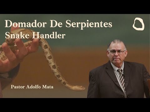 23-0201 "Domador de Serpientes"