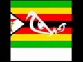 D Flexx Tsaona