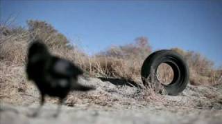 Rubber
