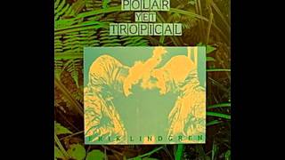 Erik Lindgren - I Wanna Be Your Dog (The Stooges Cover)