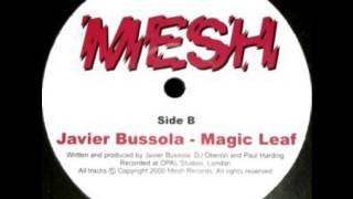 Javier Bussola "magic leaf" (original mix)