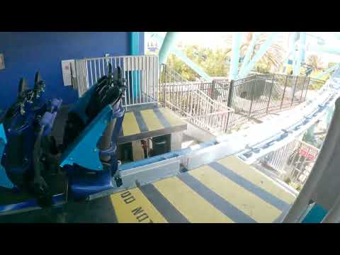 Back row point of view footage of Electric Eel