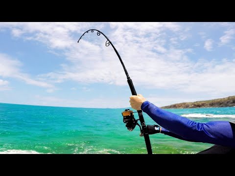 Shark Attacks my Mackerel!!! | Fishing Tropical Islands with Dennis Verreet Part 1