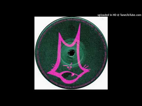 Catwash - Texas Cockroaches