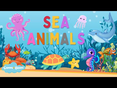 Sea Animals | Learn sea animals names in English | Kids vocabulary | English Educational Video