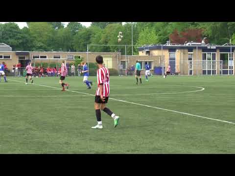 WV-HEDW.O17-1  -  HOLLANDIA.O17-2