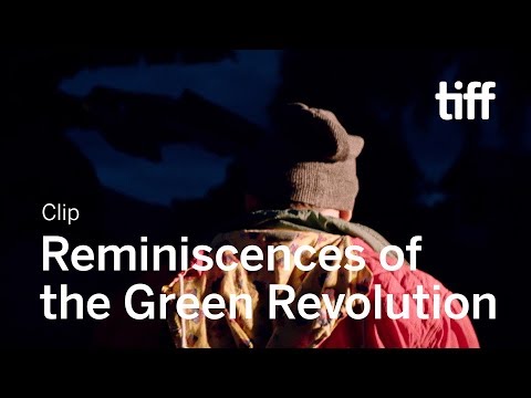REMINISCENCES OF THE GREEN REVOLUTION Clip | TIFF 2019