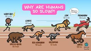 Why Are Humans So Slow!