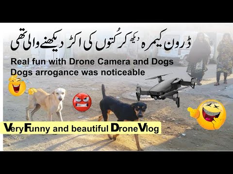 Drone with Dogs Vlog | Dogs with drone | Angry Dogs | Beautiful Drone Vlog