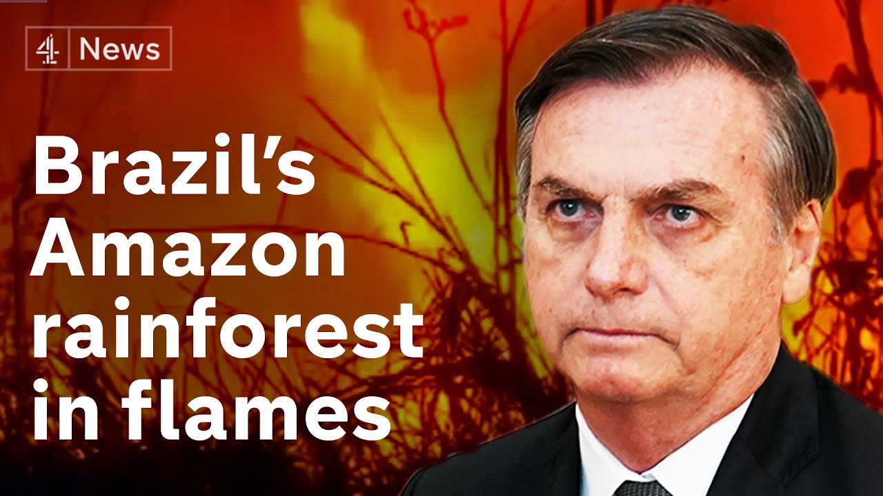 Thousands of fires ravage Amazon rainforest - most started intentionally