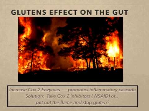 Video thumbnail for Gluten Part 2