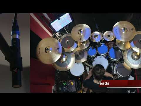 Benighted "Starving Beast" performed with sE Electronics microphones