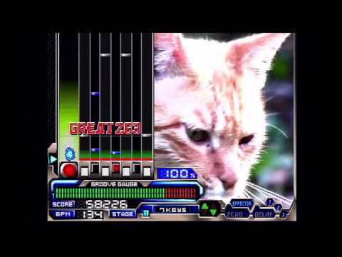 Beatmania IIDX 3rd Style - THE SAFARI