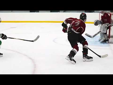 BMHA 2025 December Plays of the Month