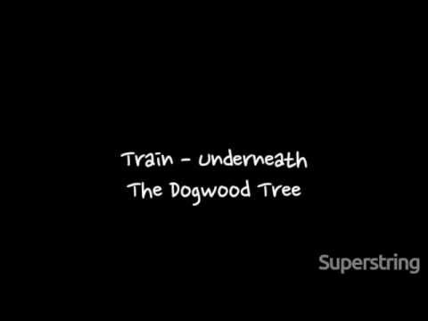 Train - Underneath The Dogwood Tree Lyrics