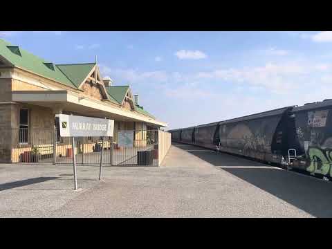 1281: ALF19 CM3314 CLP8 CM3315 V544 Murray Bridge Station 1110 this morning 6th April