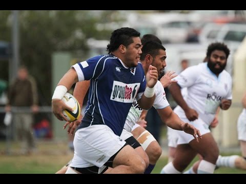 John I Dent Cup Top 5 tries from round 6