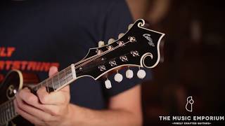 Video thumbnail for Collings MF Deluxe @ The Music Emporium by The Music Emporium