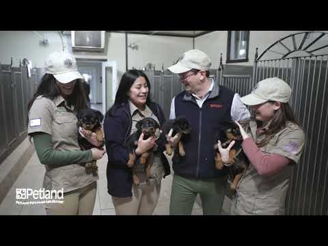 Kennel Tour 101