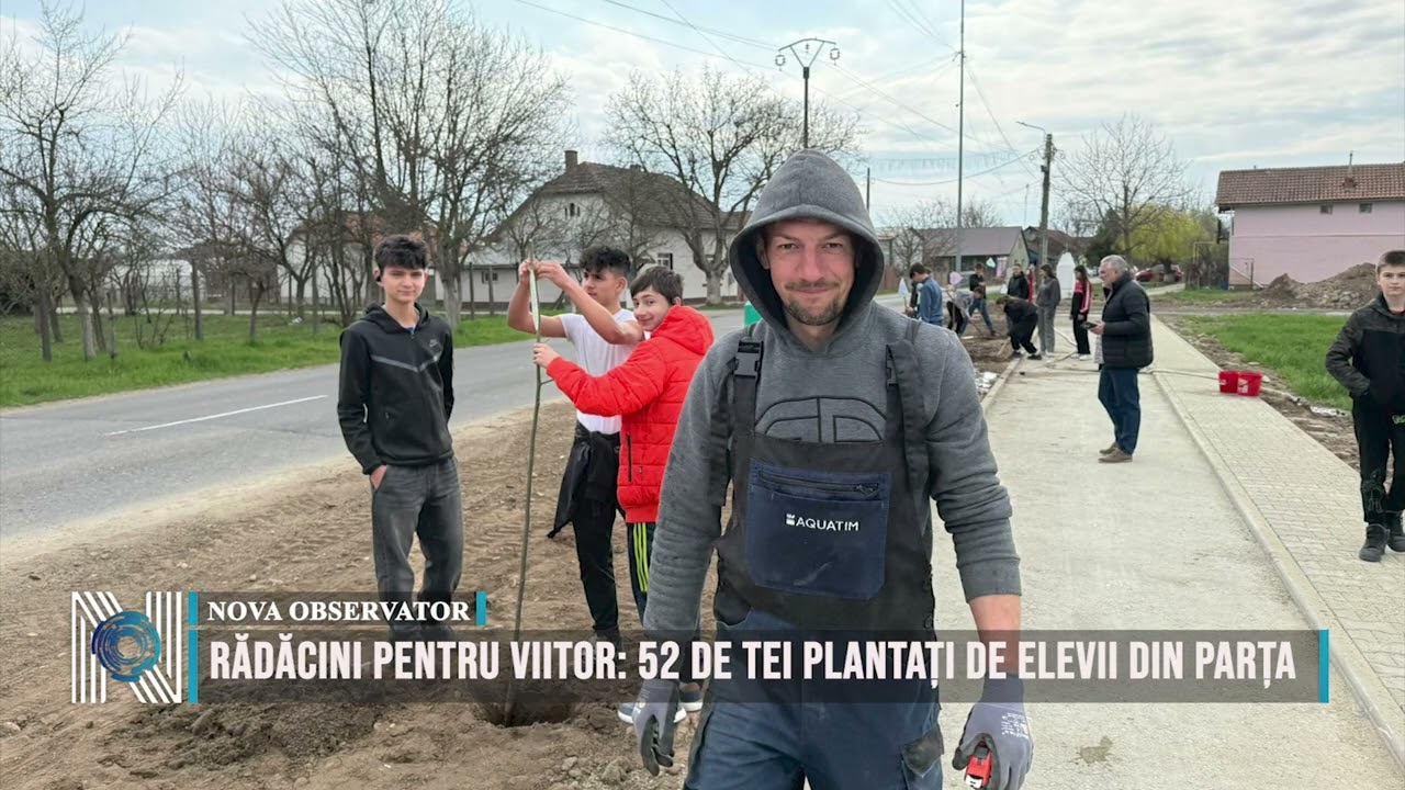 Rădăcini pentru viitor: 52 de tei plantați de elevii din Parța