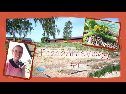 Trädgårdsvlogg #1