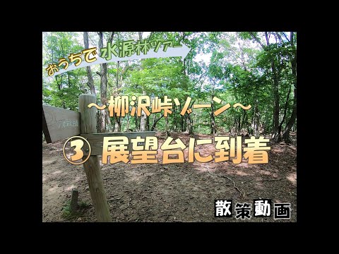 【おうちで水源林ツアー】 ～柳沢峠ゾーン～ ③展望台に到着