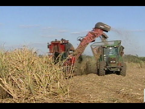 Protecionismo é barreira para exportações brasileiras