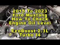 Ford Mustang How To Check Engine Oil Level EcoBoost 23L Turbo I4   2015 To 2023 6th Generation