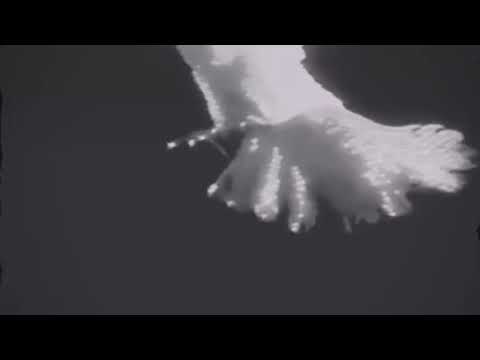 F RXSHXD /// El Milagro