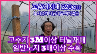 고추키 3M이상 터널재배 3배이상 수확 지지대 220CM 사용 귀농귀촌 인간극장,전원일기 주말농장 텃밭 고추…