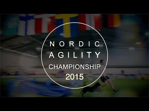 Nordic Agility Championship 2015 livestream Sunday finals